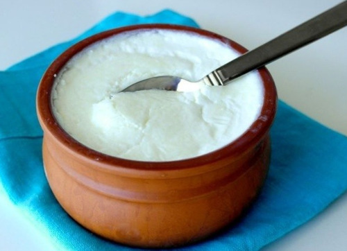 Curd & Yogurt Collection